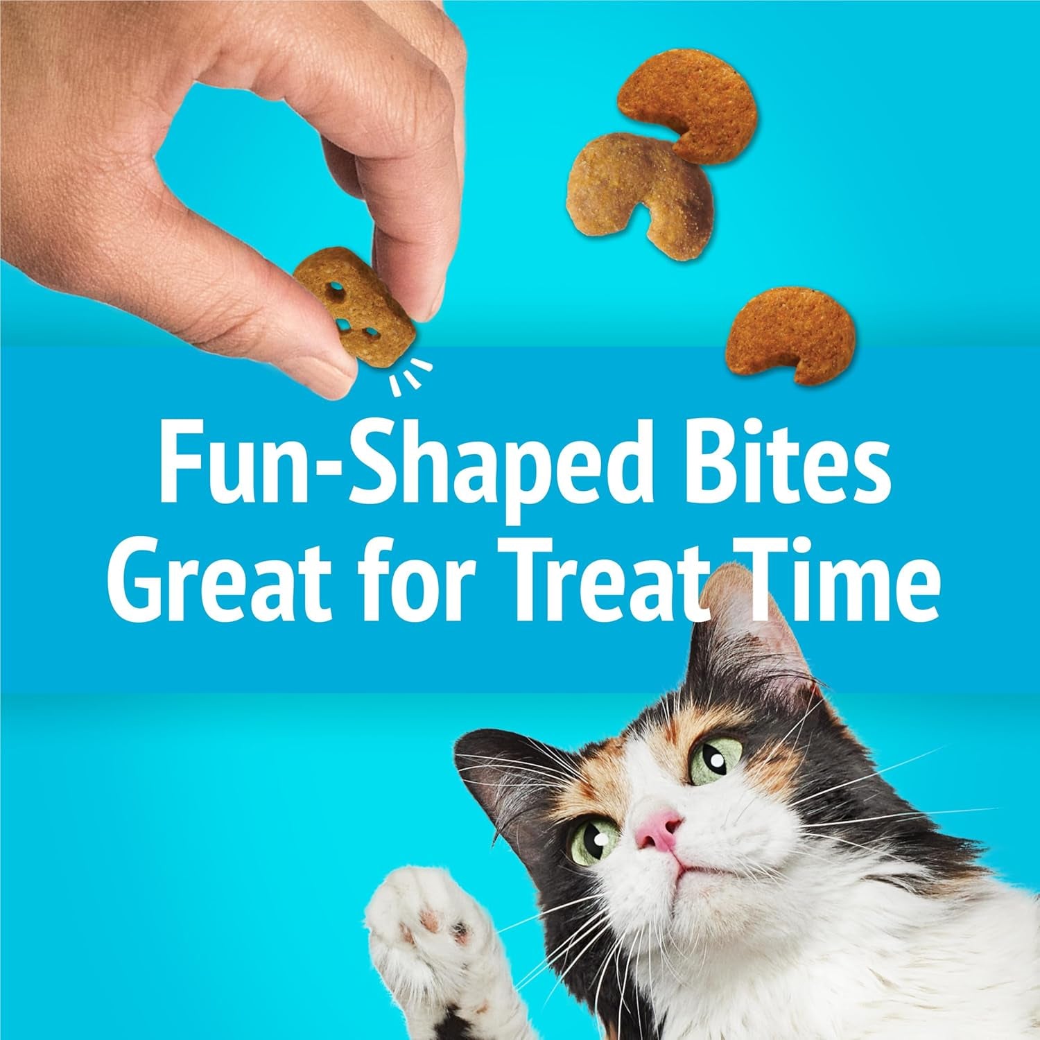 Purina Friskies Cat Treats