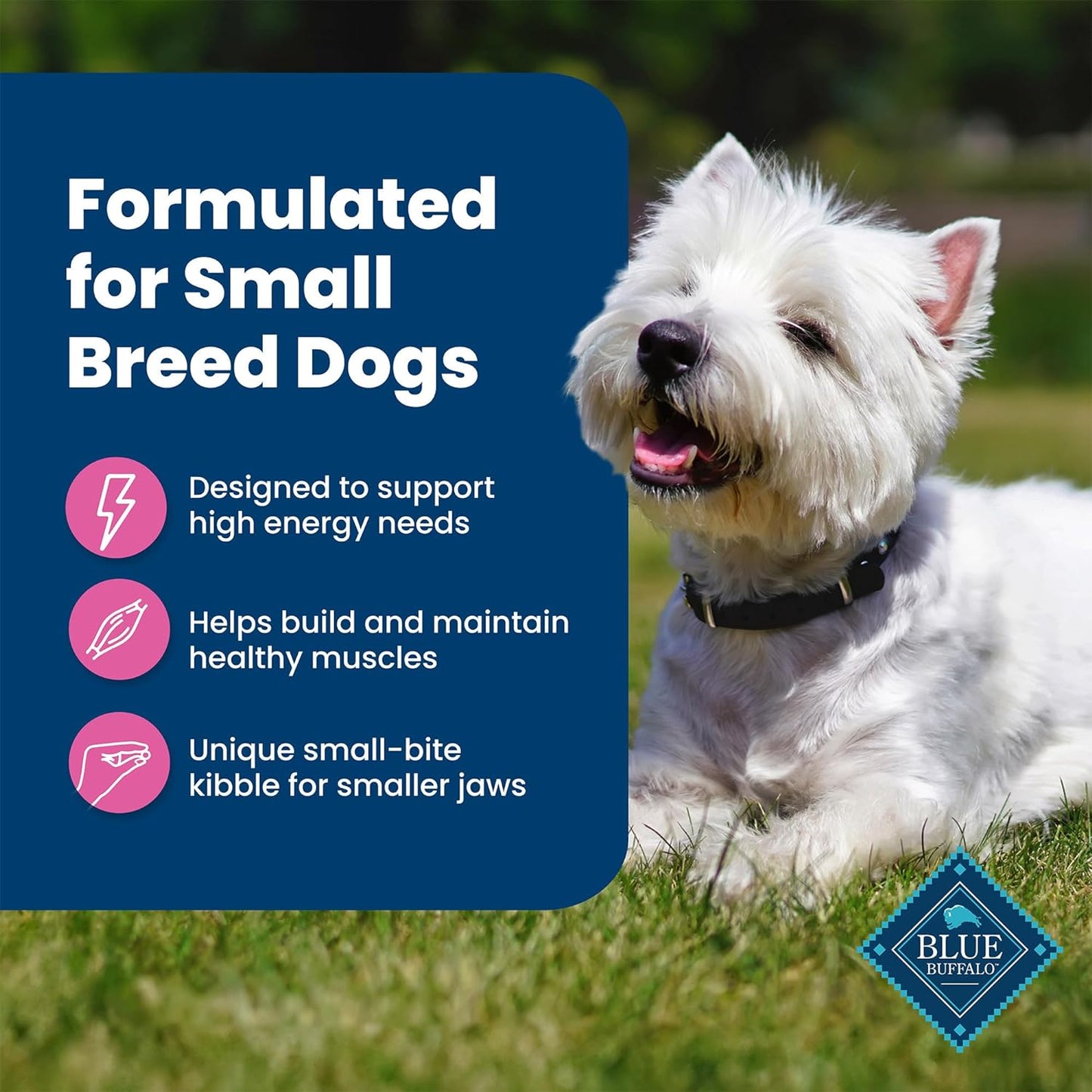 Blue Buffalo Life Protection Formula Adult Small Breed Dry Dog Food, Supports High Energy Needs, Made with Natural Ingredients