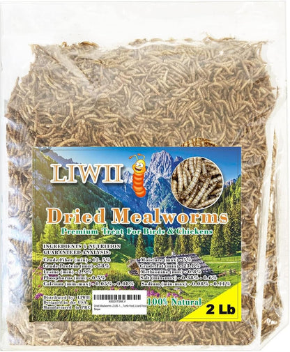 Dried Mealworms 100% Natural Non GMO High Protein Mealworms - Bulk Mealworms for Wild Birds, Chicken Treats, Hamster Food, Gecko Food, Turtle Food, Lizard Food