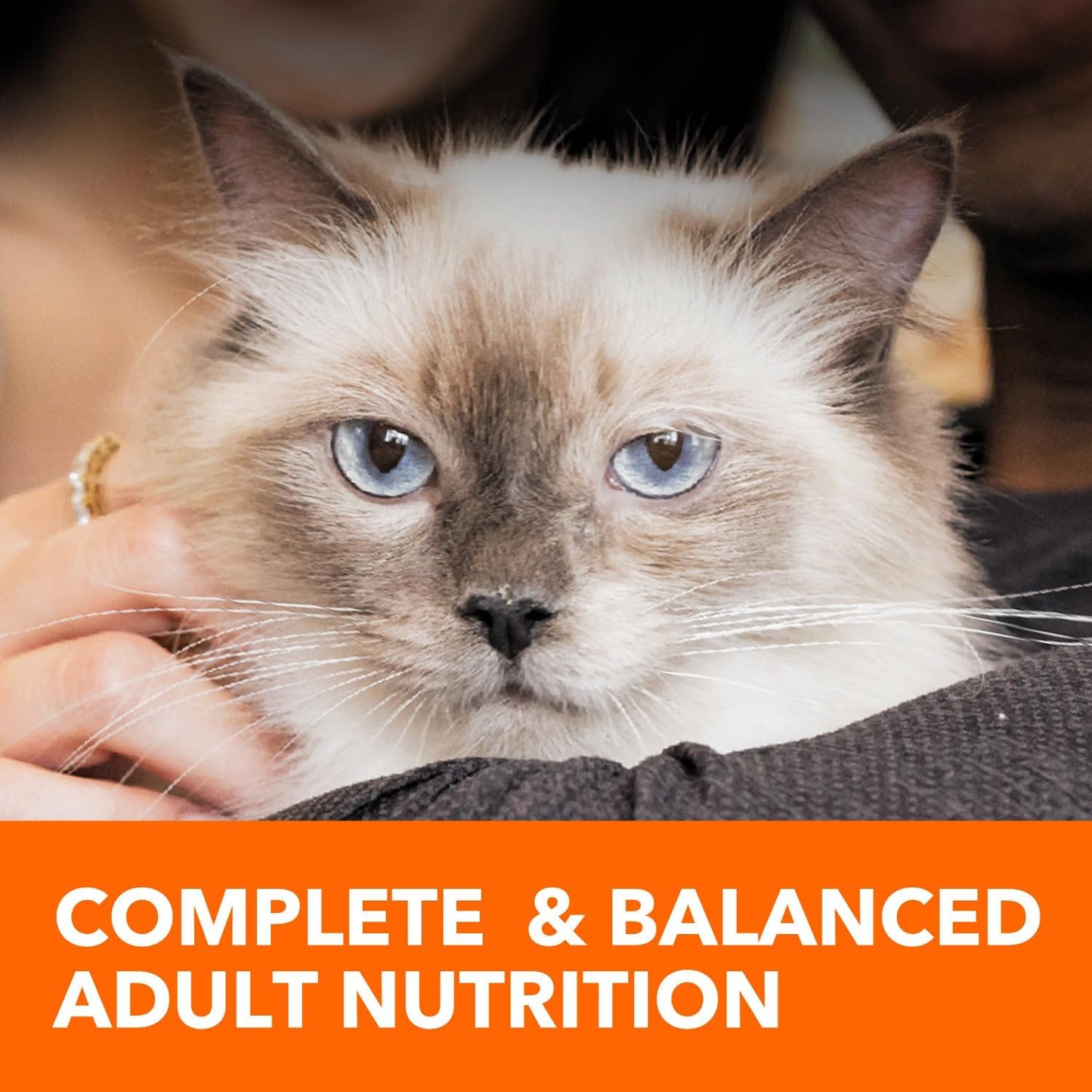 IAMS Proactive Health Healthy Adult Dry Cat Food with Chicken