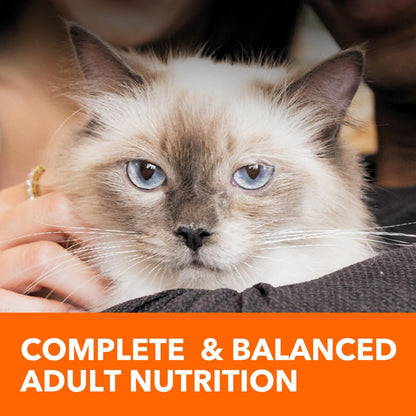 IAMS Proactive Health Healthy Adult Dry Cat Food with Chicken