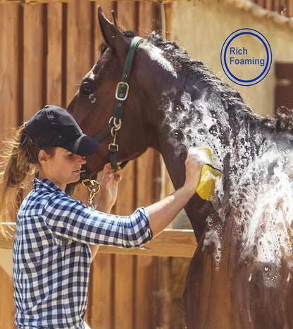 Horse Grooming Kit (12-Piece): Brushes, Storage Bag, Sweat Scraper, Mane Comb, Grooming Gloves, Horse Gift for Girls (Black)