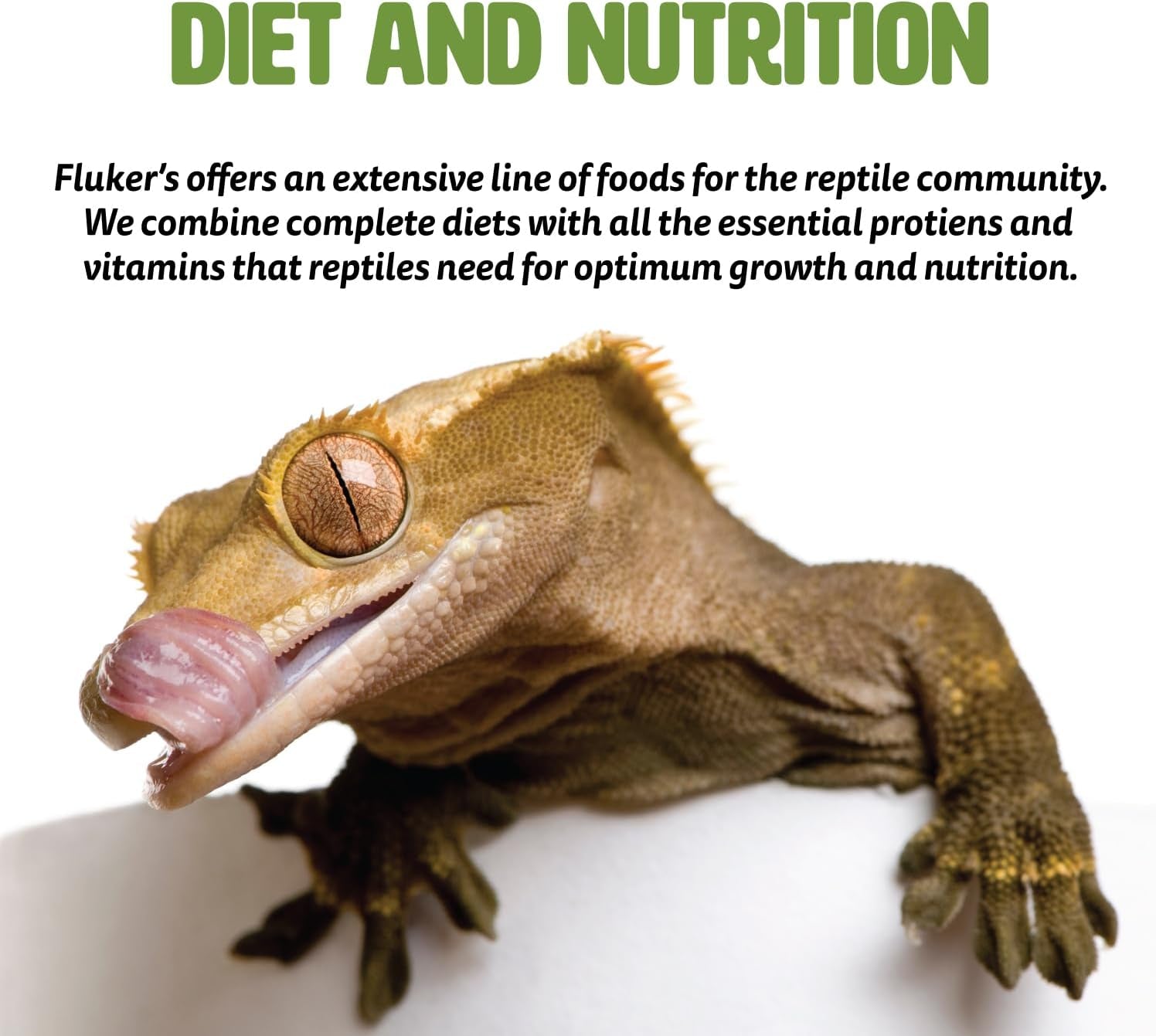 Fluker'S High Calcium Mealworm Diet, Can Be Used as a Gut-Loading Food or Bedding