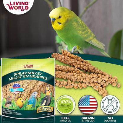 - Spray Millet, 17.6 Oz - Premium Treat for Budgies, Canaries, Finches, Cockatiels and Other Pet Birds