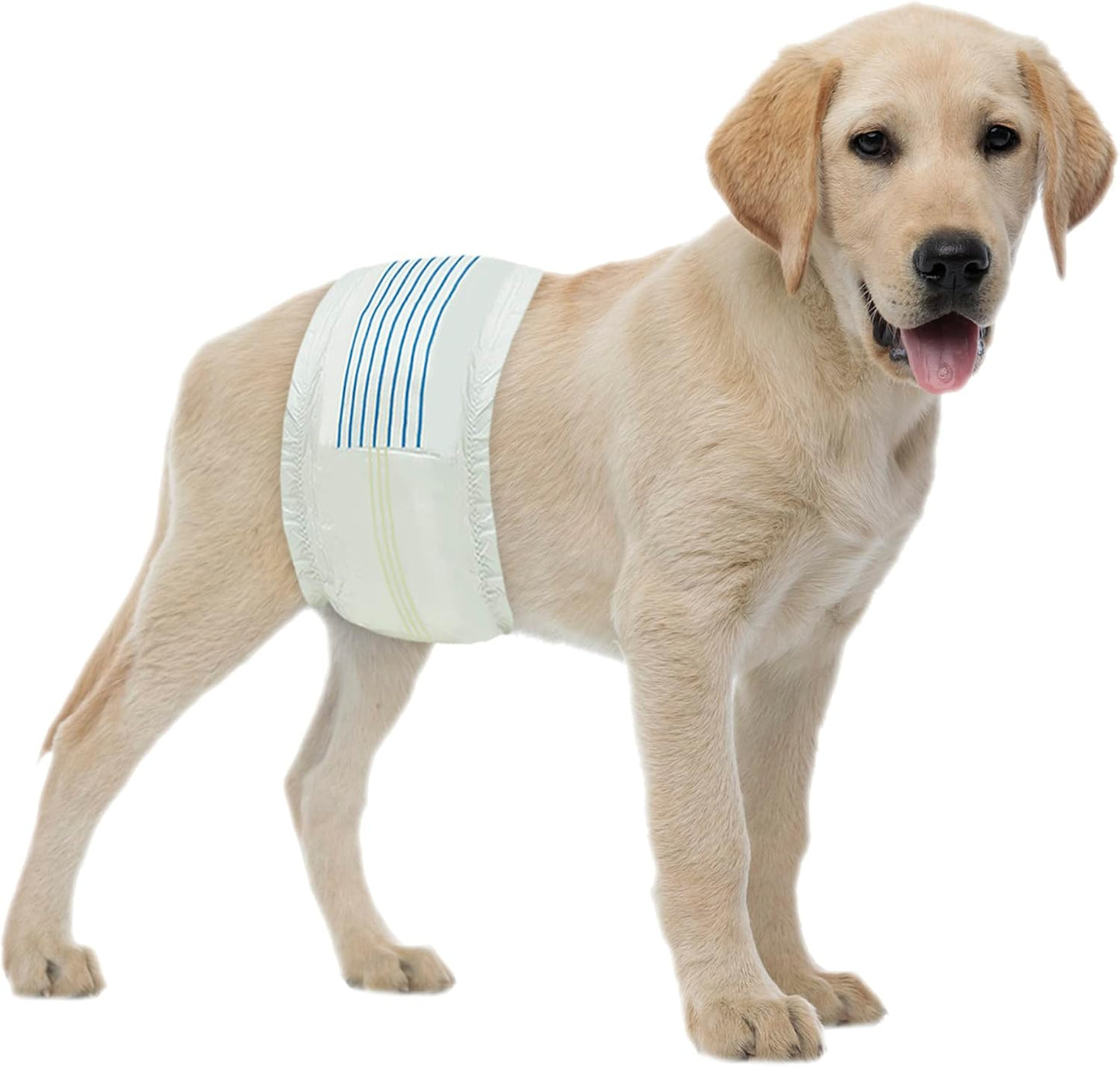 BV Dog Diapers Male Super Absorbent - 50 Count Male Dog Diapers Disposable - Doggie Diapers with Wetness Indicator - Adjustable Male Dog Wraps - Ideal for Incontinence/Training