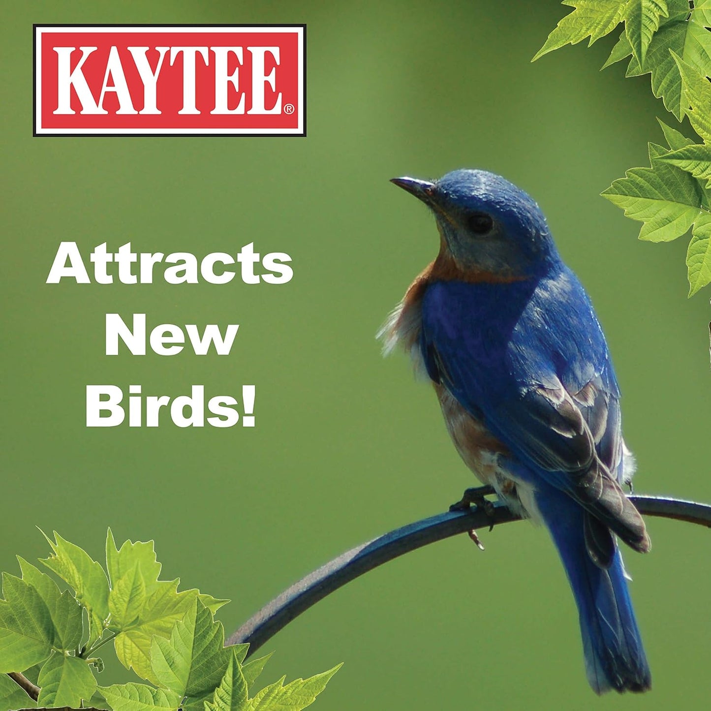 Kaytee Wild Bird Food Mealworms for Bluebirds, Wrens, Robins, Chickadees, Woodpeckers, Cardinals & Chickens