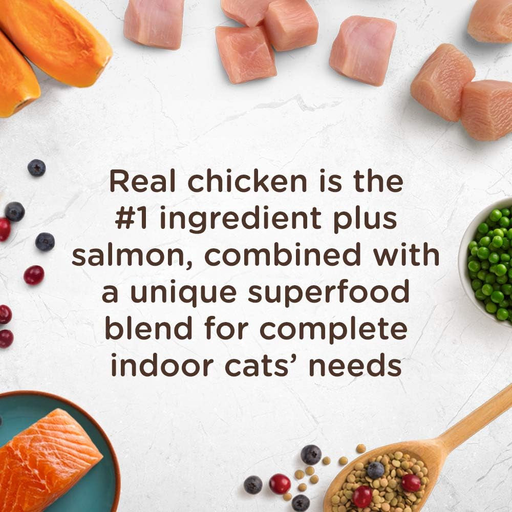 Rachael Ray Nutrish Indoor Complete Premium Natural Dry Cat Food, Chicken with Lentils & Salmon Recipe (Packaging May Vary)