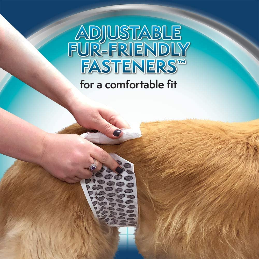 Simple Solution Disposable Dog Diapers Wraps for Male Dogs, True Fit, Absorbent, Leak Proof with Wetness Indicator, Puppy and Doggie Diaper for Peeing