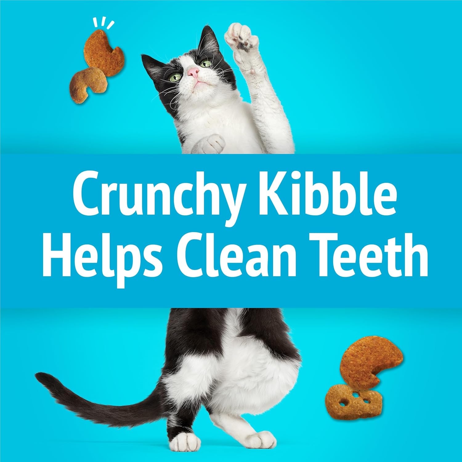 Purina Friskies Cat Treats