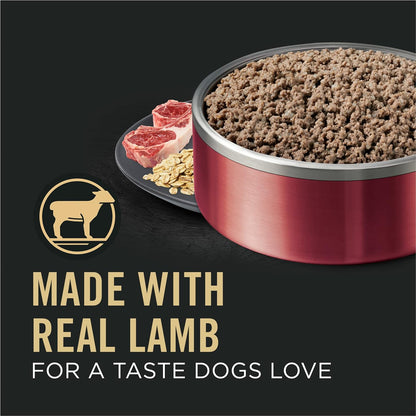 Sensitive Skin and Stomach Wet Dog Food Pate Lamb and Oat Meal Entree - (Pack of 12) 13 Oz. Cans