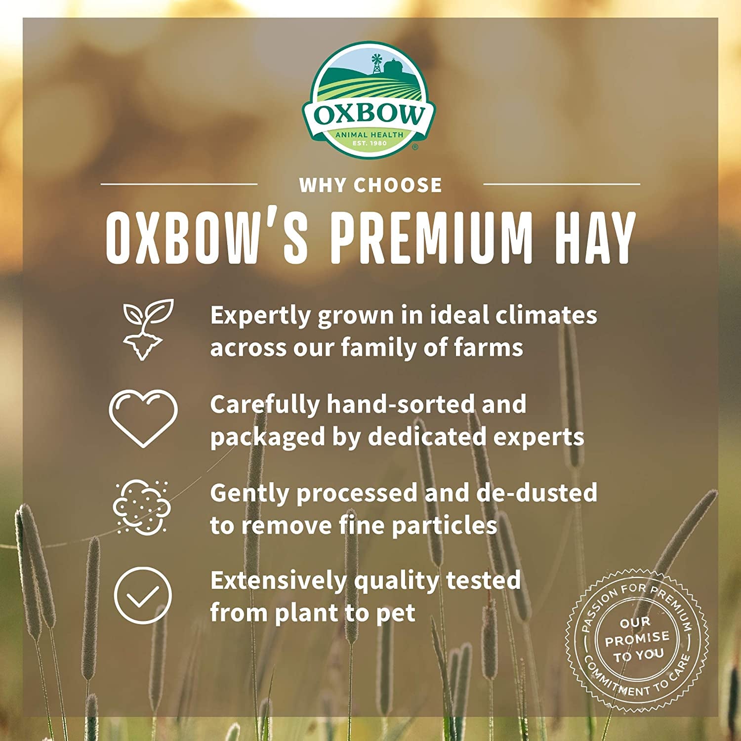 Oxbow Animal Health Oxbow Hay Blends - Western Timothy & Orchard