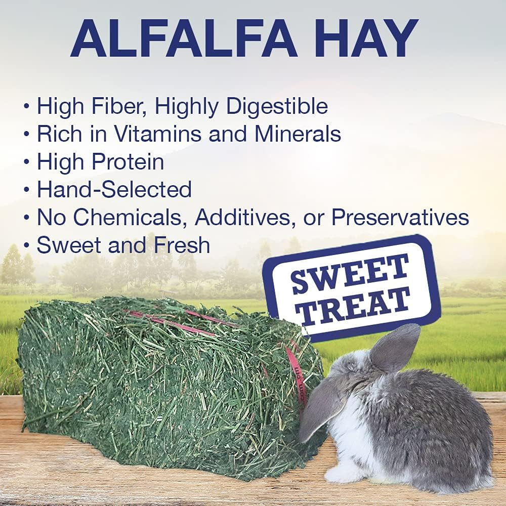 Grandpa'S Best ALF10 10 Lb Alfalfa Hay Bale (Packaging May Vary )