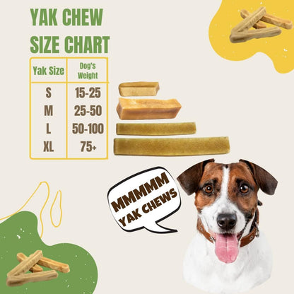 Ecokind Premium Gold Yak Cheese Himalayan Dog Chews, Dog Treats Large Breed, All Natural, High Protein, for Aggressive Chewers