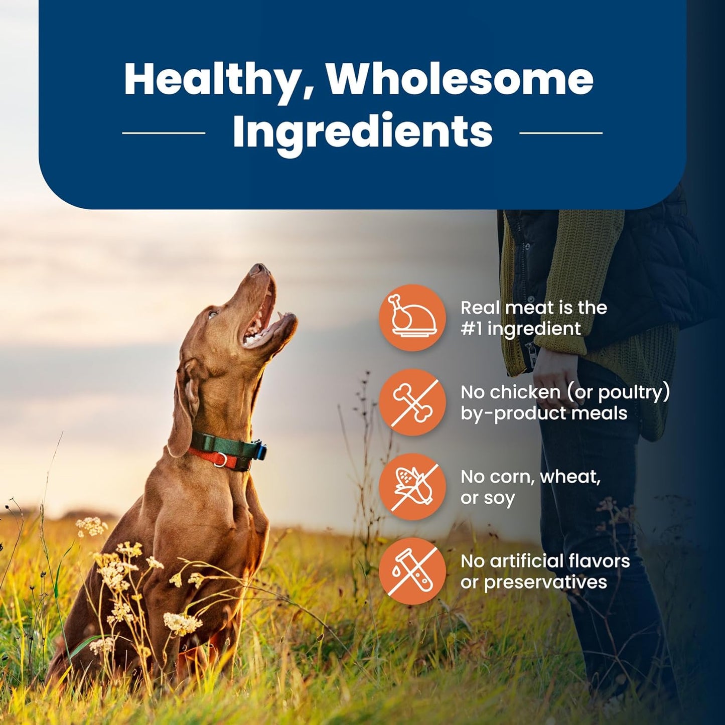 Blue Buffalo Life Protection Formula Large Breed Adult Dry Dog Food, Promotes Joint Health and Lean Muscles, Made with Natural Ingredients