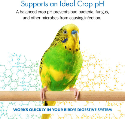 Healthygut™ Avian Probiotics Dietary Supplement for Parrots, All-Natural Digestive System Formula