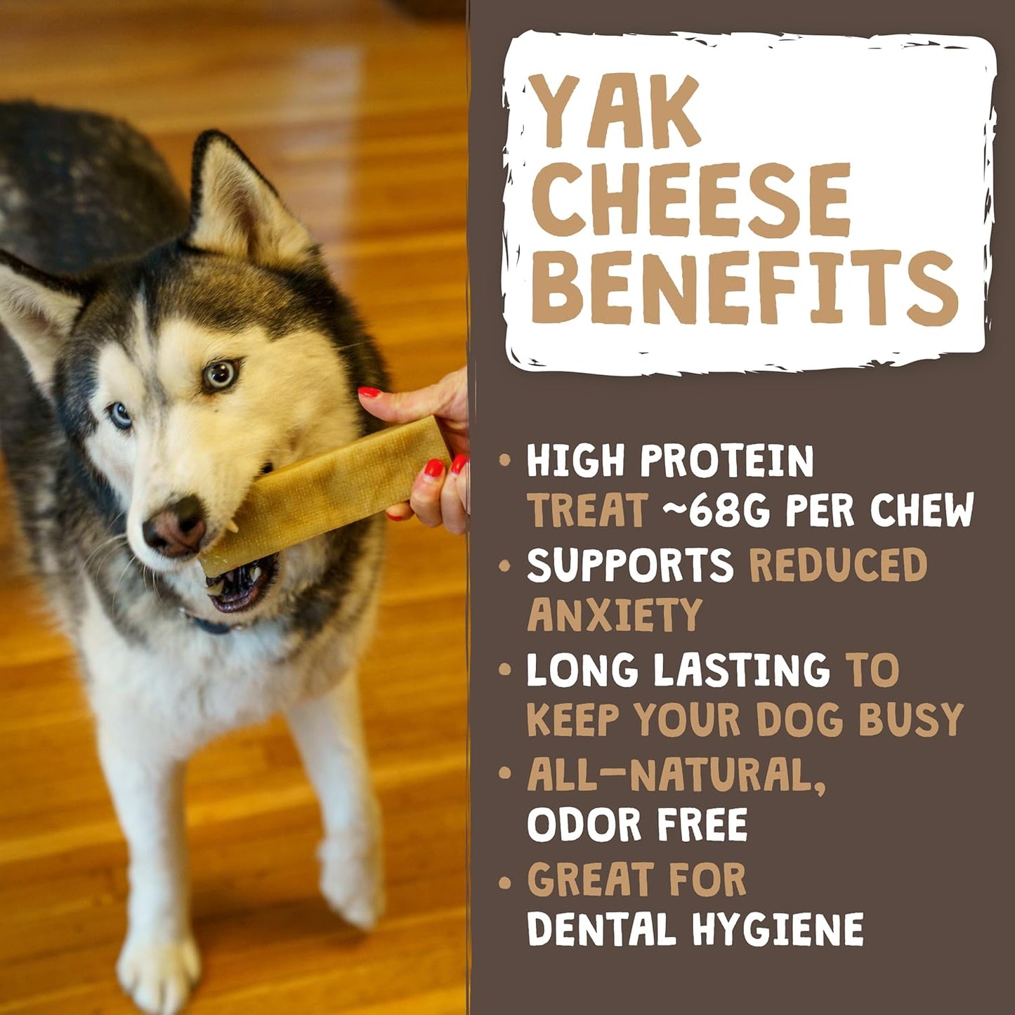 Mighty Paw Yak Cheese Dog Chews - All-Natural Treats for Dogs - High Protein Treat with 68 Grams of Protein per Chew - Delicious and Long Lasting - Odor Free with Limited Ingredients