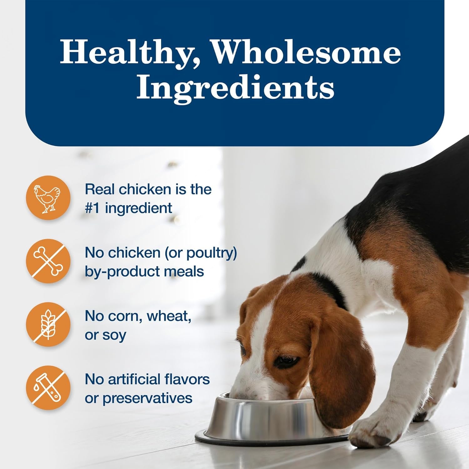 Homestyle Recipe Adult Wet Dog Food, Made with Natural Ingredients, Chicken Dinner with Garden Vegetables, 12.5-Oz. Can (Pack of 12)