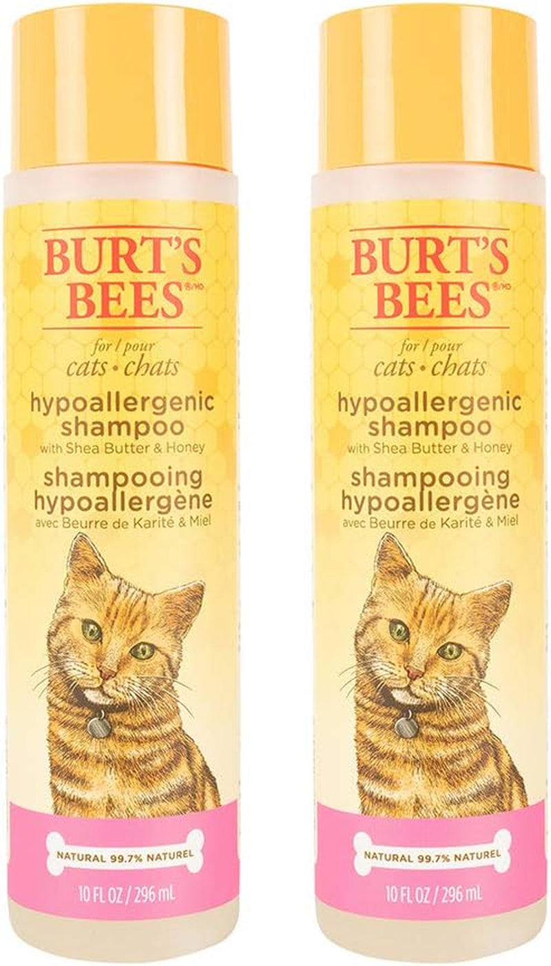 Hypoallergenic Cat Shampoo with Shea Butter & Honey - Moisturizing Grooming Pet Shampoo for Cats with Sensitive Skin, Cat Cleaning Supplies