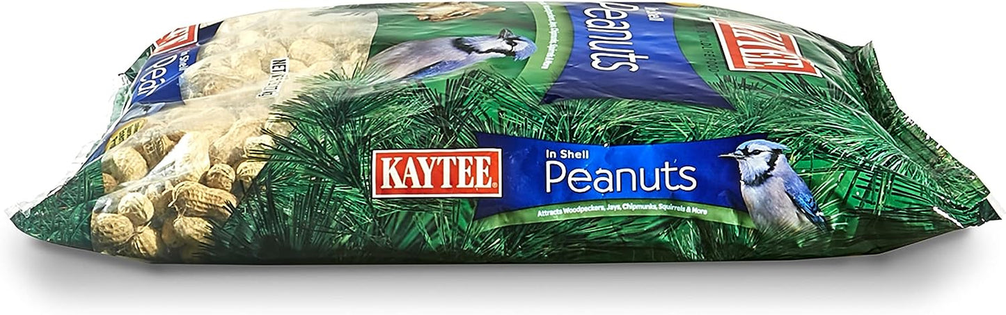 Peanuts in Shell for Squirrels, Woodpeckers, Nuthatches, Jays, Towhees, Cardinals, Indigo Buntings, and Other Wild Birds, 5 Pound