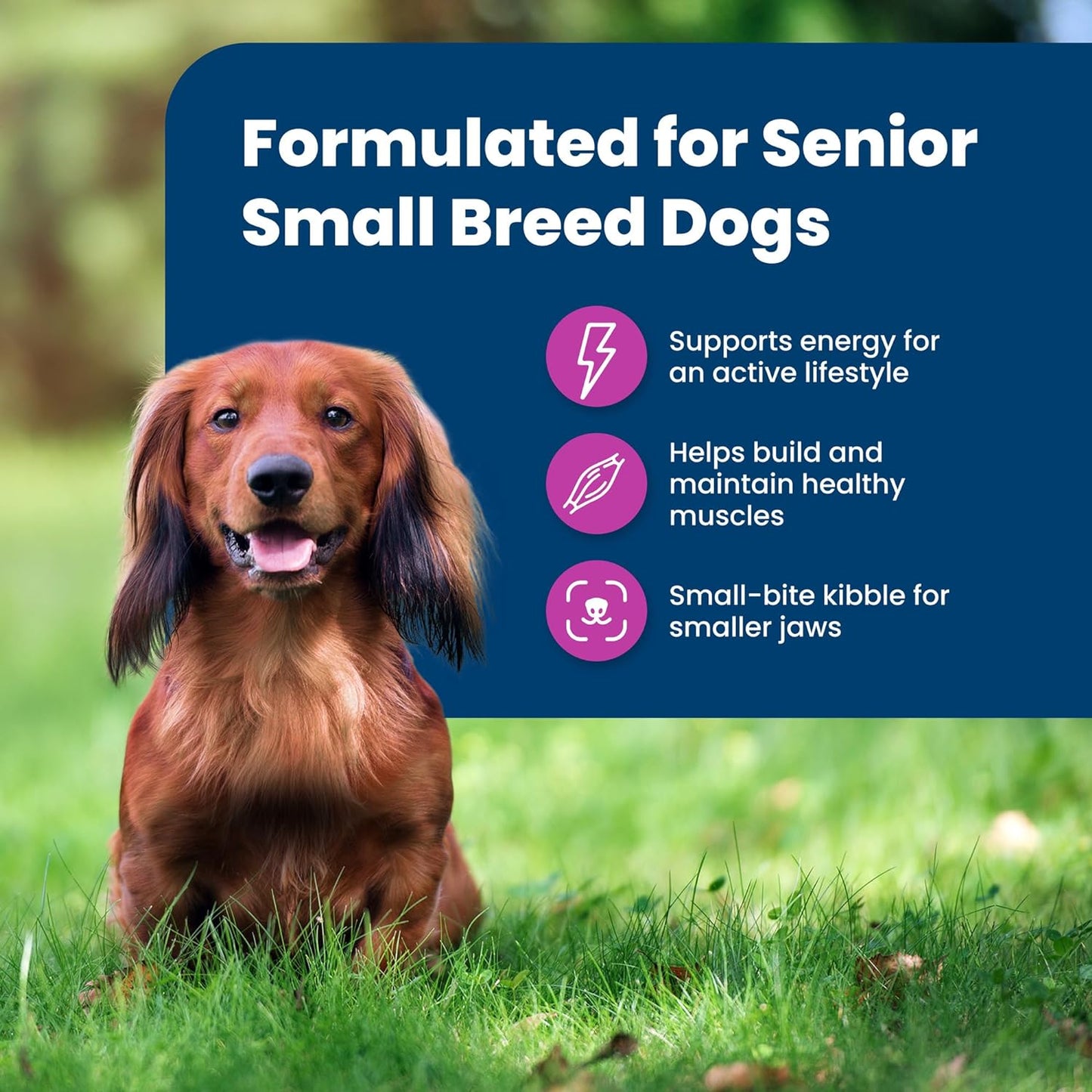 Life Protection Formula Small Breed Senior Dry Dog Food, Supports Joint Health and Immunity, Made with Natural Ingredients, Chicken & Brown Rice Recipe