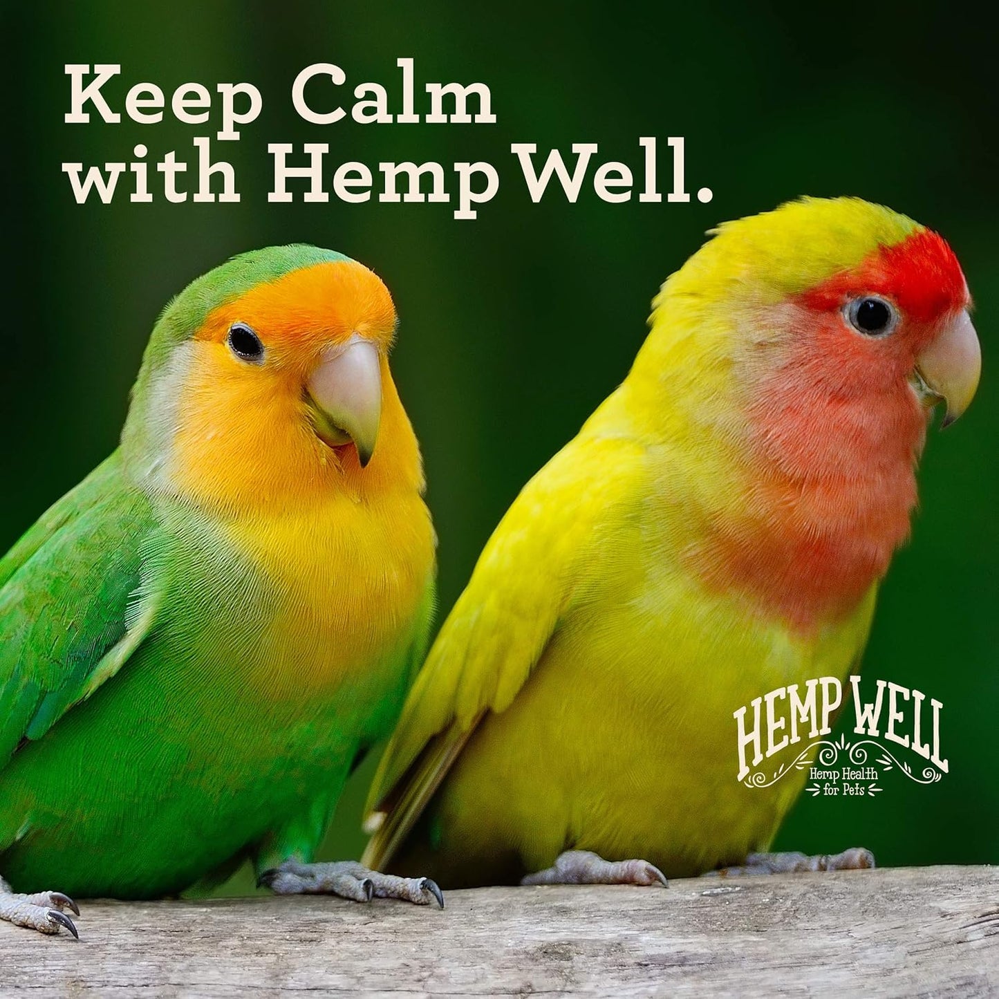 Hemp Well Calm Bird Oil - Relieves Anxiety, Calms and Relaxes Your Bird, Reduces Destructive Behavior, Organically Sourced