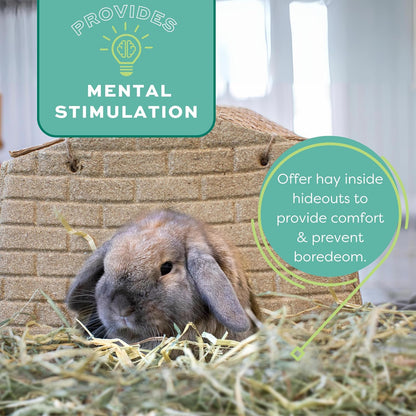 Oxbow Animal Health Western Timothy Hay - All Natural Hay for Rabbits, Guinea Pigs, Chinchillas, Hamsters & Gerbils