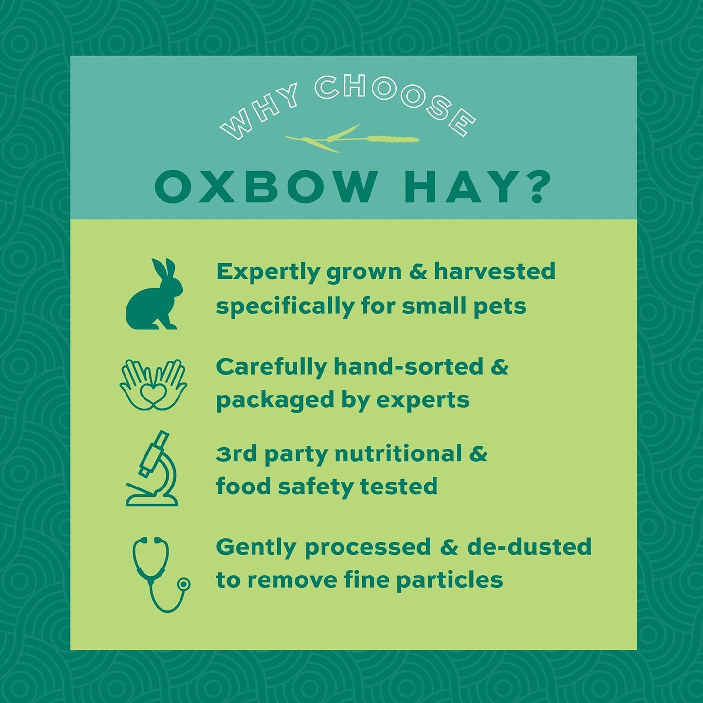 Oxbow Animal Health Western Timothy Hay - All Natural Hay for Rabbits, Guinea Pigs, Chinchillas, Hamsters & Gerbils