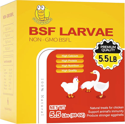 Dried Black Solider Fly Larvae of Chicken Treats - BSF Larvae 85X More Calcium than Meal Worms -100% Natural Dried BSF for Chickens, Birds, Reptiles, Hedgehog, Geckos, Turtles, Hens