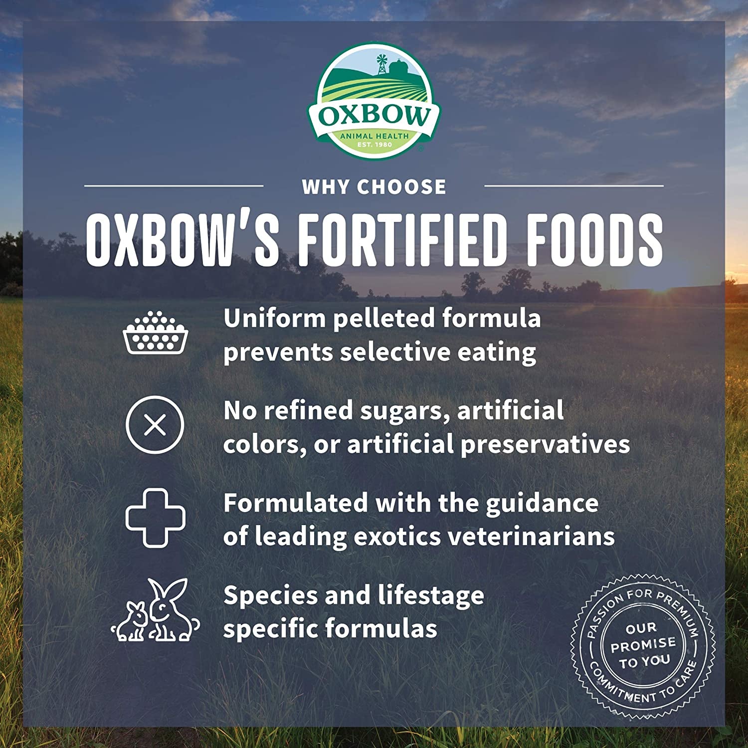 Oxbow Essentials Mouse Food Rat Foods