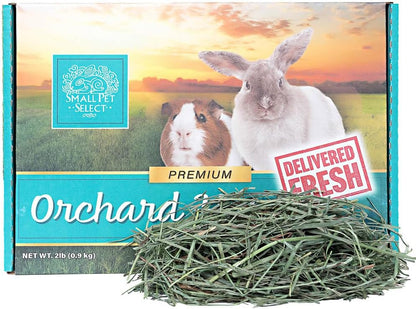 Small Pet Select Orchard Grass Hay Pet Food for Rabbits, Guinea Pigs, Chinchillas and Other Small Animals, Premium Natural Hay Grown in the US