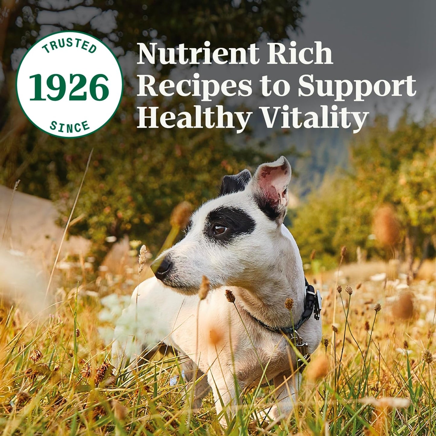 Nutro Natural Choice Senior Small Breed Dry Dog Food, Chicken and Brown Rice Recipe, 5 Lbs.