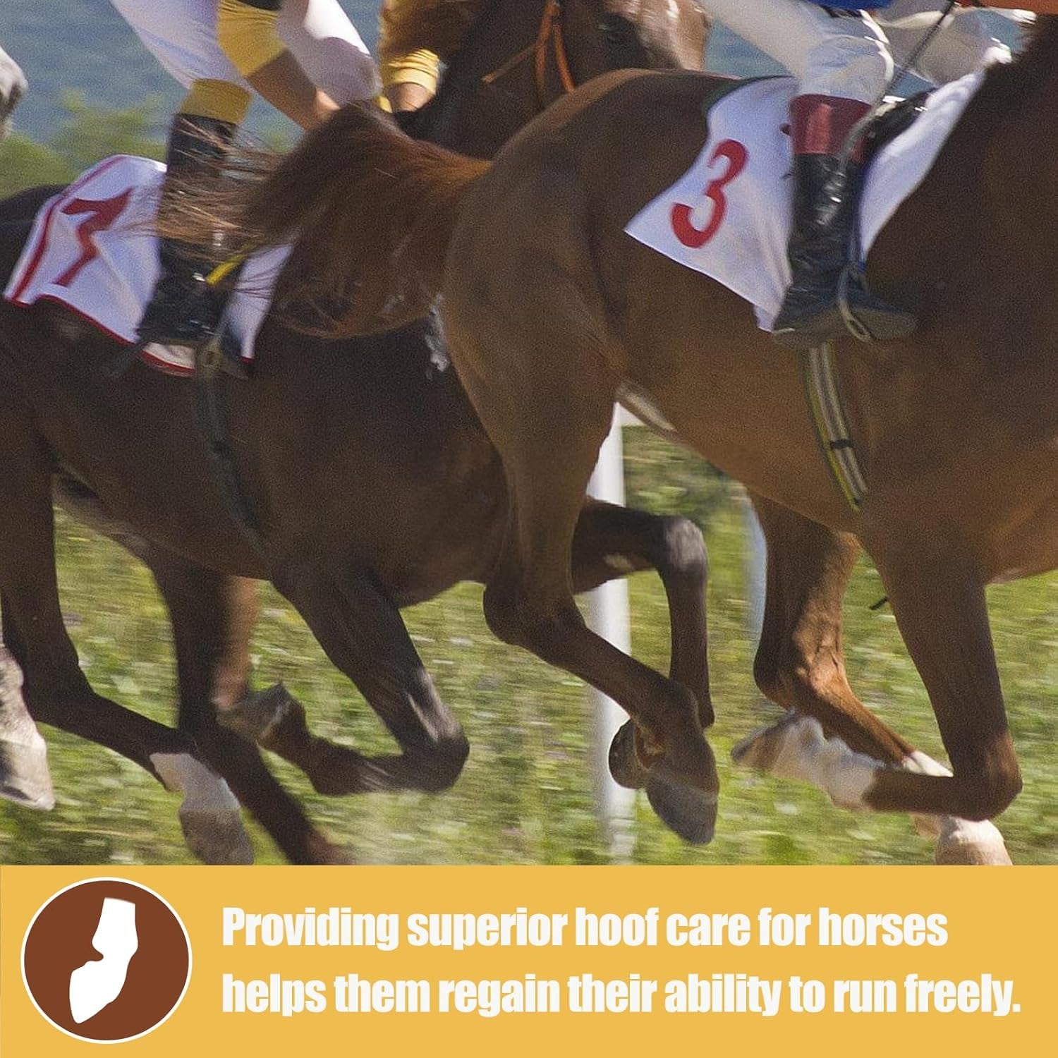 Horse Laminitis Treatment - Natural Herbal Powder Hoof Supplements for Horses with Laminitis, Ideal for Hoof Care & Sore Feet, Back to Pasture