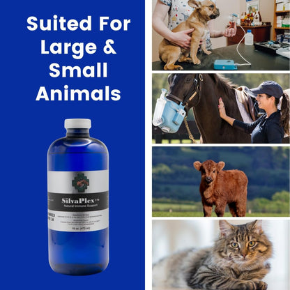 Natural Immune Support Solution for Dogs, Cats, Horses, Small Animals, 100 PPM Chelated Silver