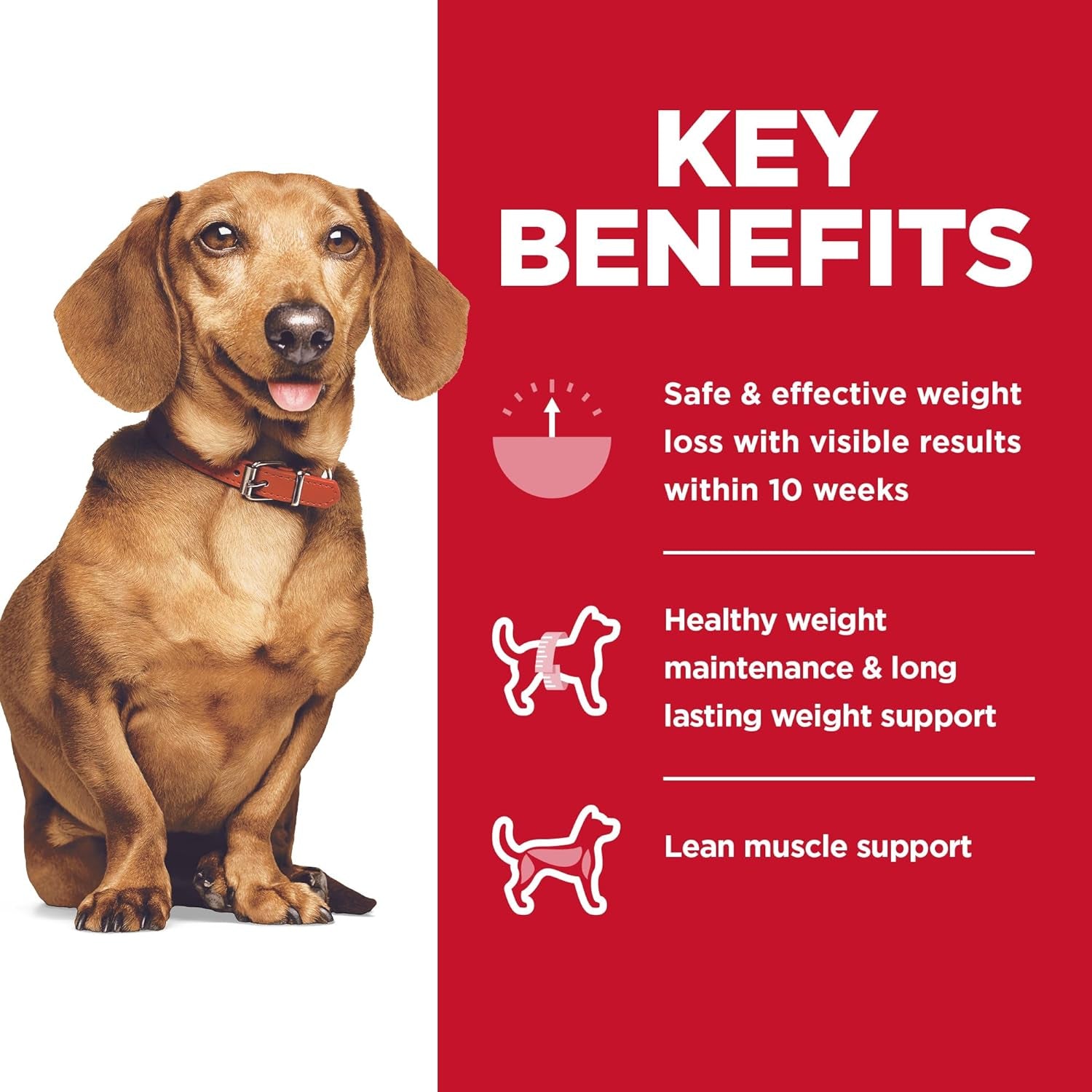 Perfect Weight, Adult 1-6, Small & Mini Breeds Weight Management Support, Dry Dog Food, Chicken Recipe