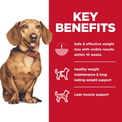 Perfect Weight, Adult 1-6, Small & Mini Breeds Weight Management Support, Dry Dog Food, Chicken Recipe