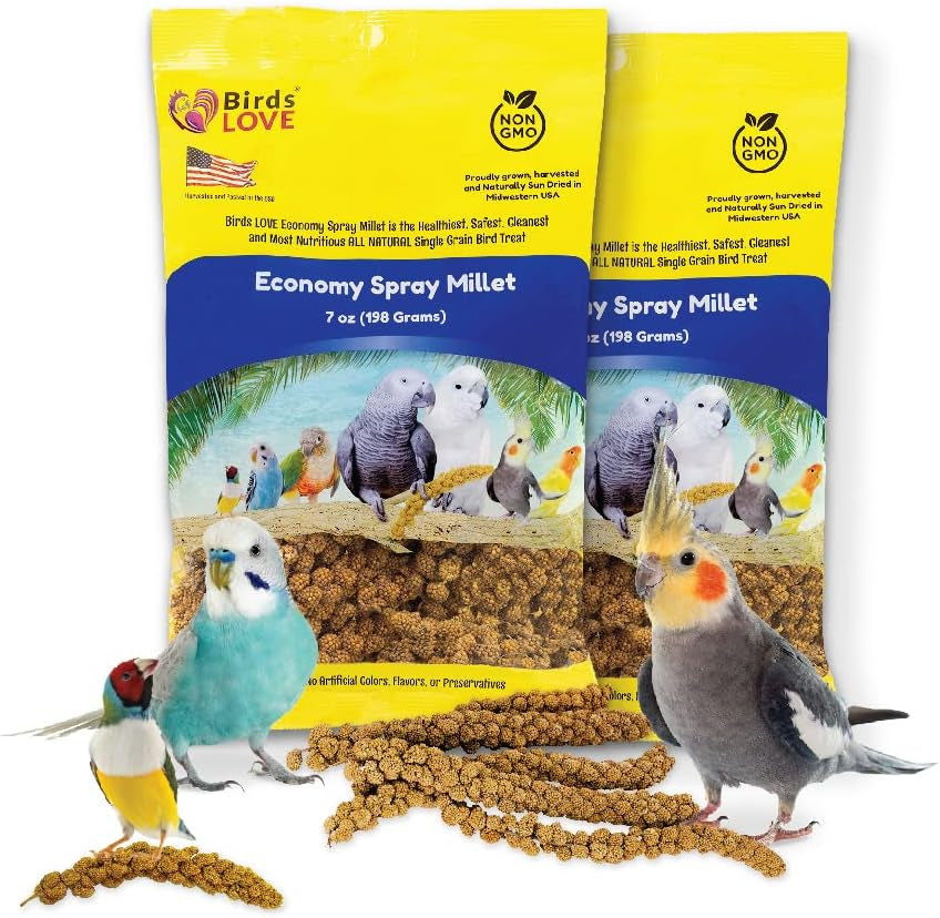 Birds LOVE Economy & Thin Special Spray Millet - Gmo-Free (No Stems Only Edible Tops) for Birds Cockatiel, Lovebird, Parakeet, Finch, Canary All Parrots Healthy Treat