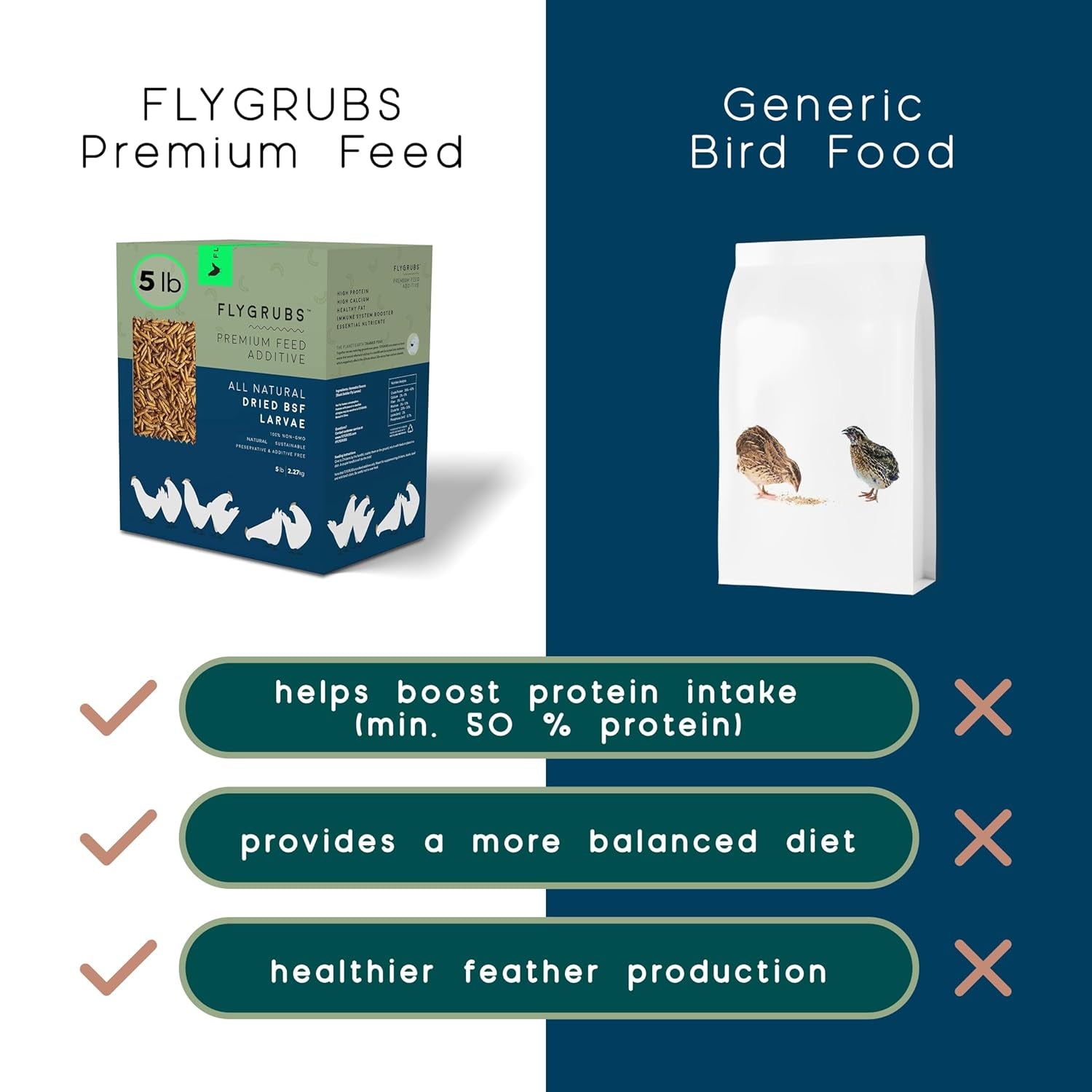 FLYGRUBS Dried Black Soldier Fly Larvae for Chickens - High Calcium Treats for Laying Hens, Ducks, Turkeys, Wild Birds - Non-Gmo, Nutrient-Rich, No Additives, 85X More Calcium than Mealworms