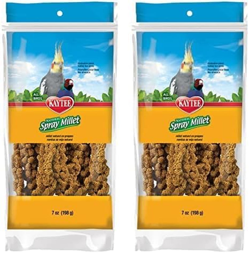 Spray Millet Treat for Pet Birds, 7 Ounce