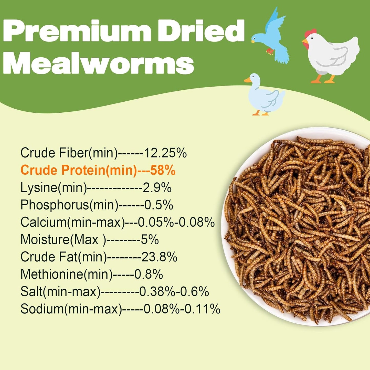 Dried Mealworms 100% Natural Non GMO High Protein Mealworms - Bulk Mealworms for Wild Birds, Chicken Treats, Hamster Food, Gecko Food, Turtle Food, Lizard Food