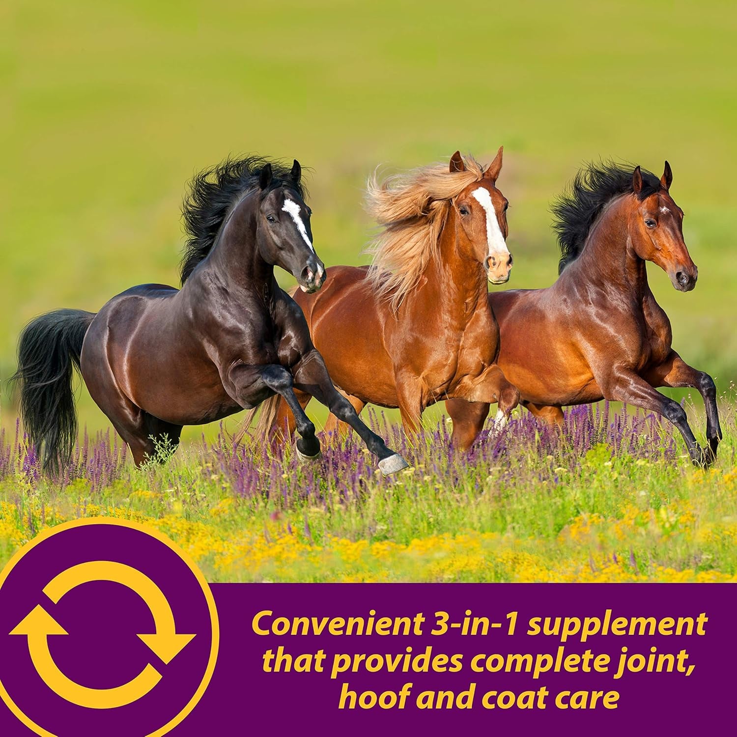 Farnam Horse Health Joint Combo Hoof & Coat, Convenient 3-In-1 Horse Joint Supplement Provides Complete Joint, Hoof and Coat Care