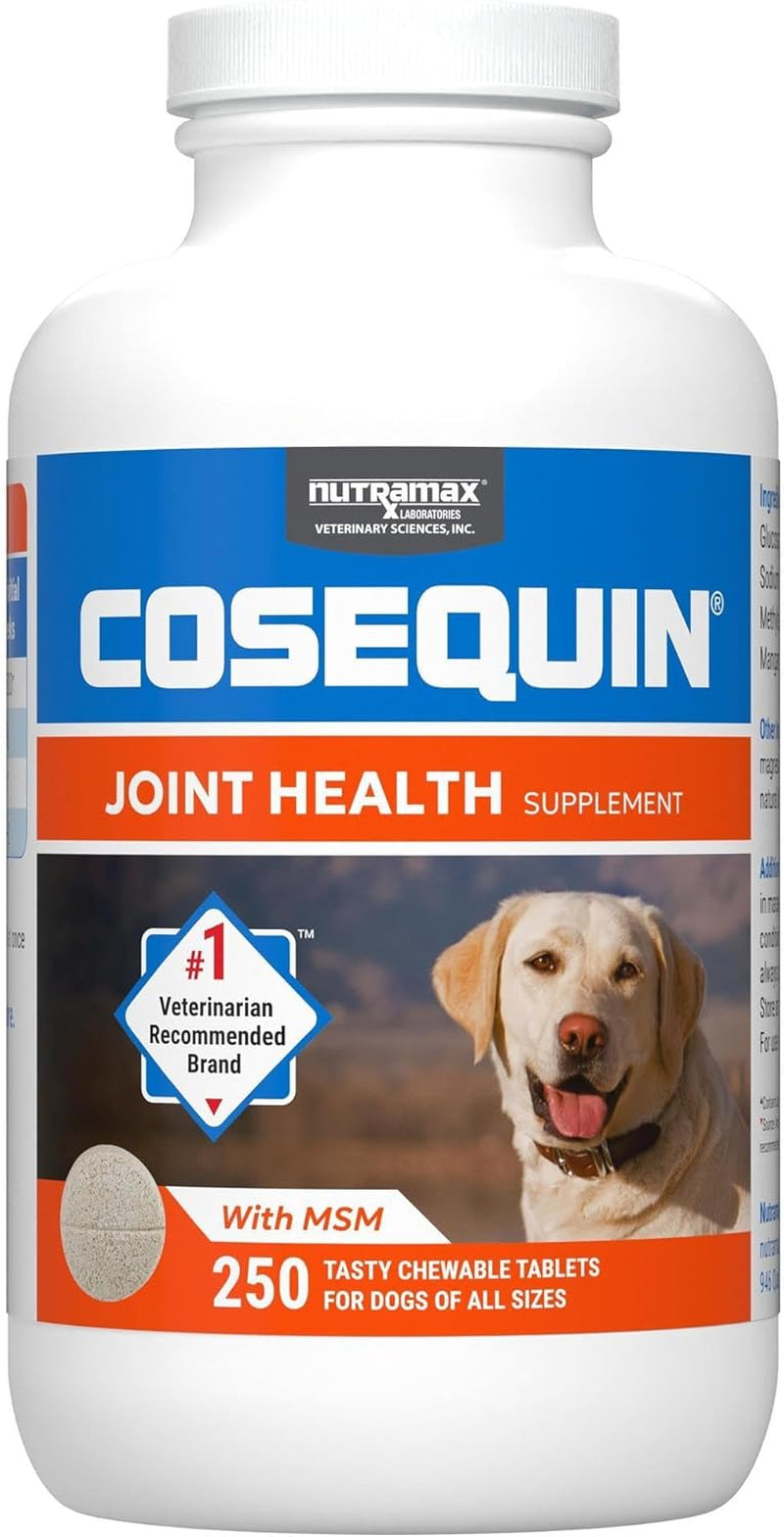 Nutramax Laboratories Cosequin Maximum Strength Joint Health Supplement for Dogs - With Glucosamine, Chondroitin, and MSM