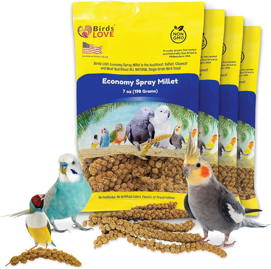 Birds LOVE Economy & Thin Special Spray Millet - Gmo-Free (No Stems Only Edible Tops) for Birds Cockatiel, Lovebird, Parakeet, Finch, Canary All Parrots Healthy Treat