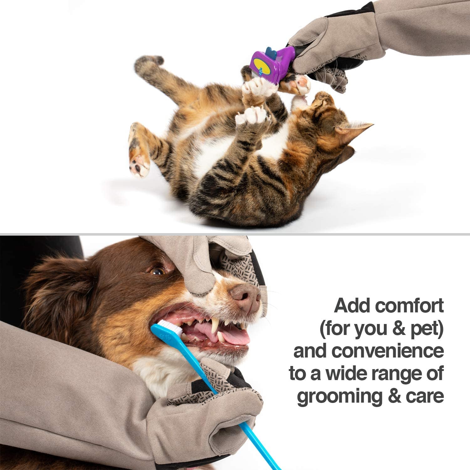 Petfusion Multipurpose Pet Glove for Grooming, Trips to Vet, Handling [Puncture & Scratch Resistant, Water Resistant]