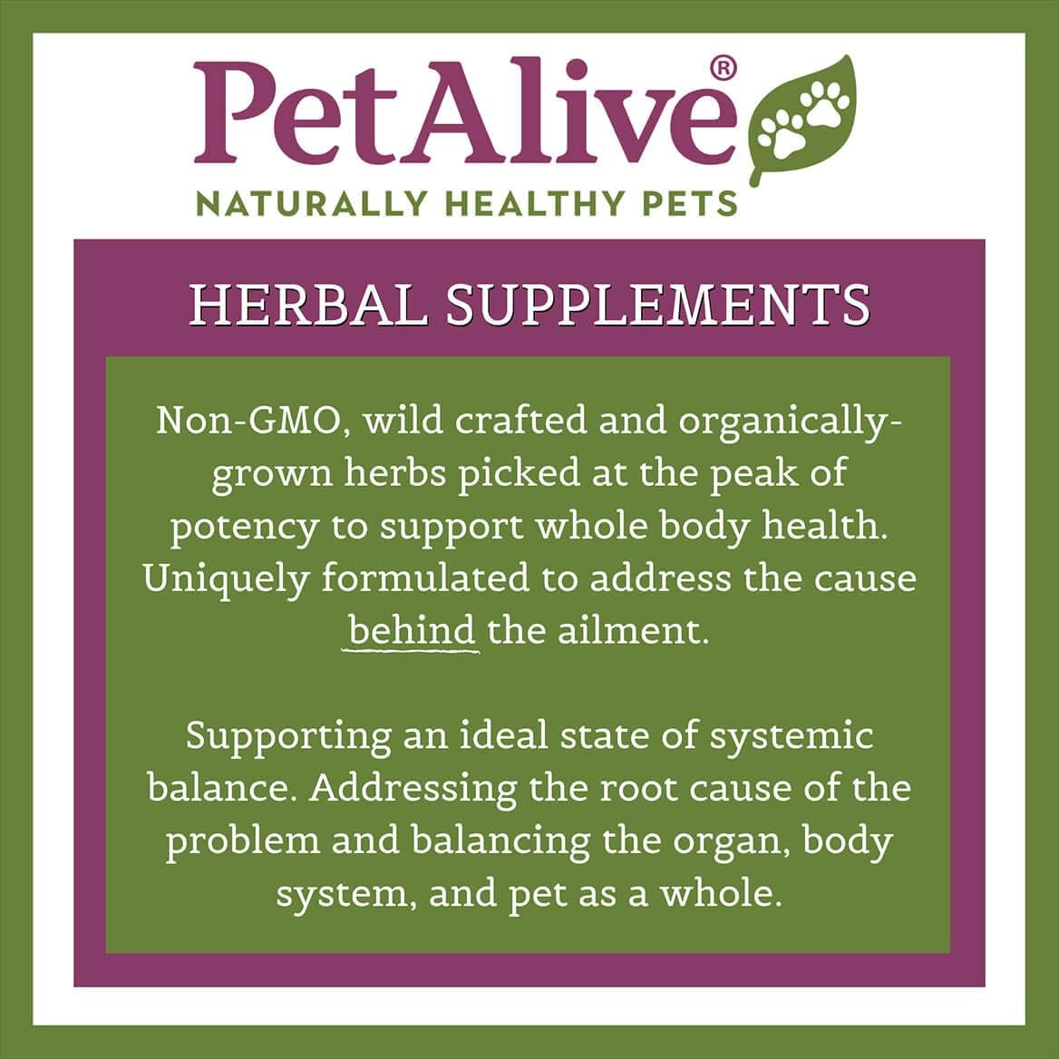 Petalive Kidney Support - All Natural Herbal Supplement Promotes Healthy Kidney and Urinary Functioning in Cats and Dogs