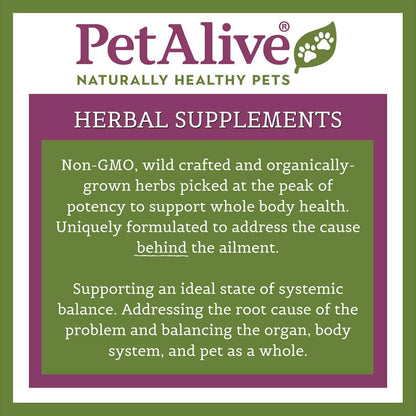 Petalive Kidney Support - All Natural Herbal Supplement Promotes Healthy Kidney and Urinary Functioning in Cats and Dogs