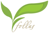 Logo Follus