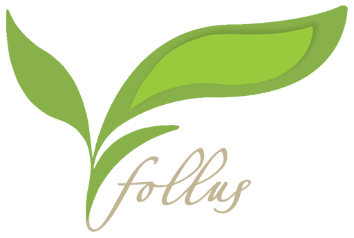 Logo Follus