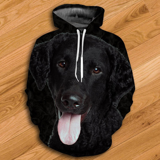 Curly Coated Retriever Kapuzenpullover – überall