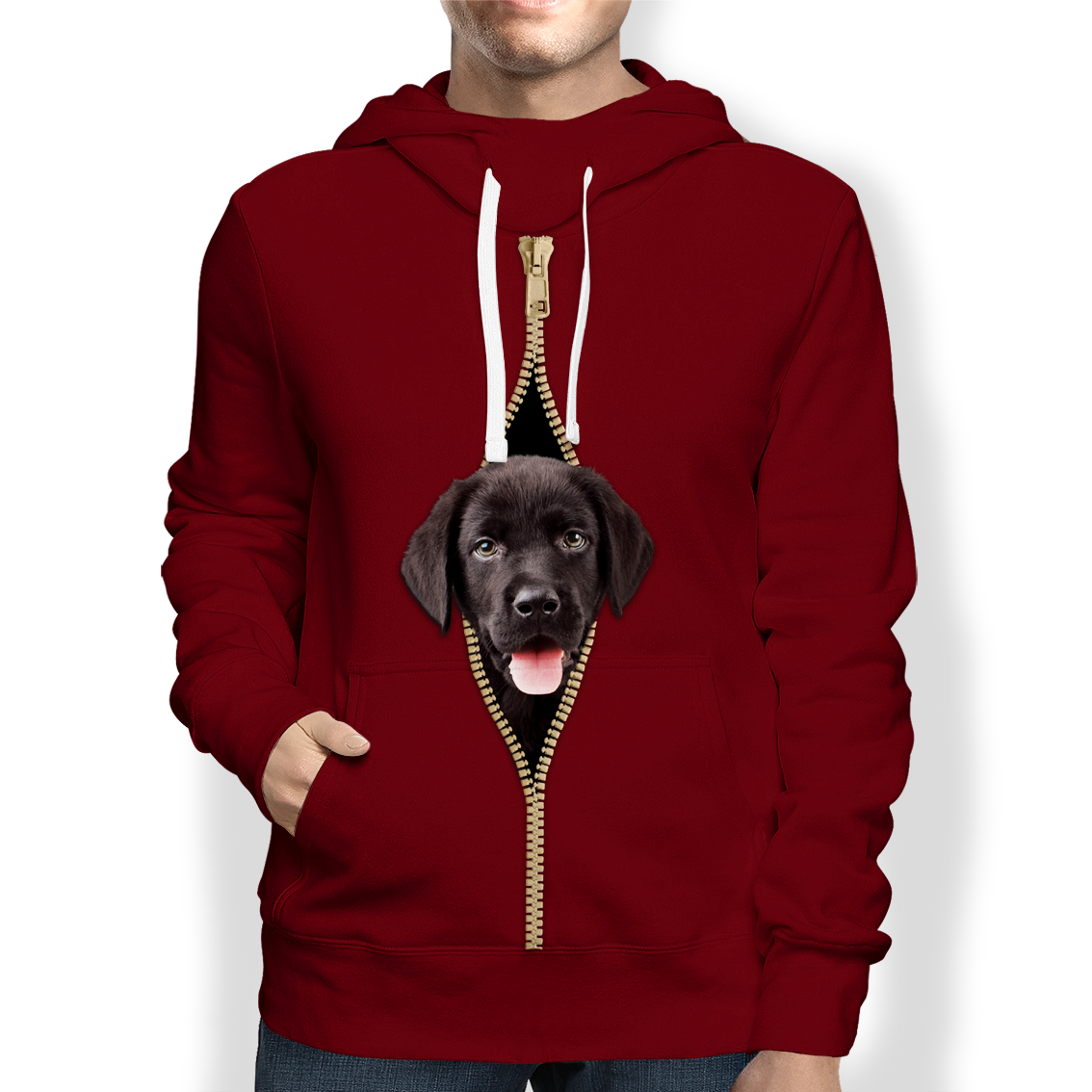 Labrador Hoodie V4 - 7