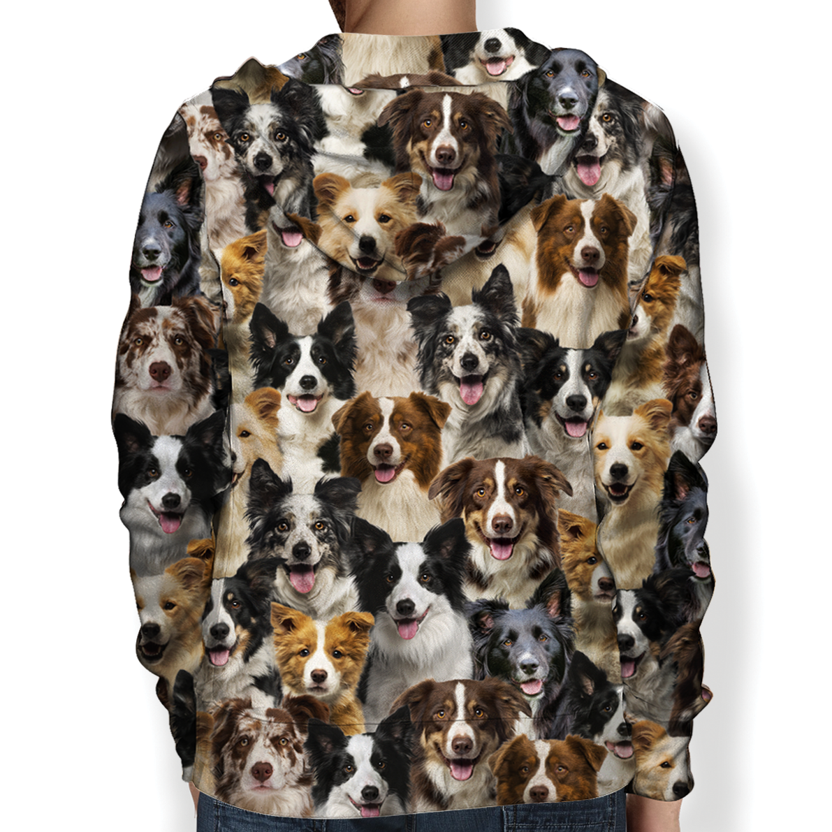 You Will Have A Bunch Of Border Collies - Hoodie V1